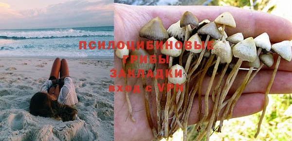 экстази Лагань