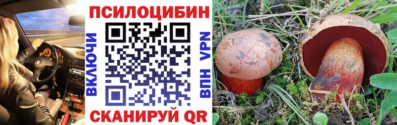 Псилоцибиновые грибы Cubensis Тогучин